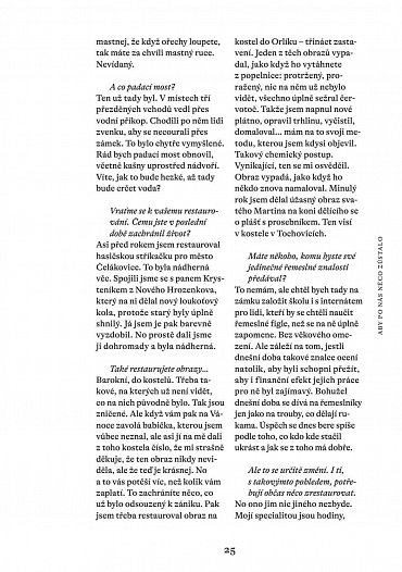 Náhled Aby po nás něco zůstalo: Zpověď novodobých zámeckých pánů