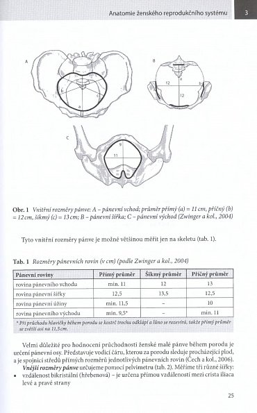 Náhled Příprava na porod - fyzická a psychická profylaxe