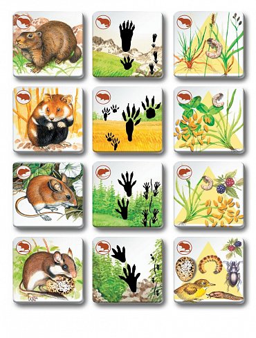 Náhled Pexetrio - Savci