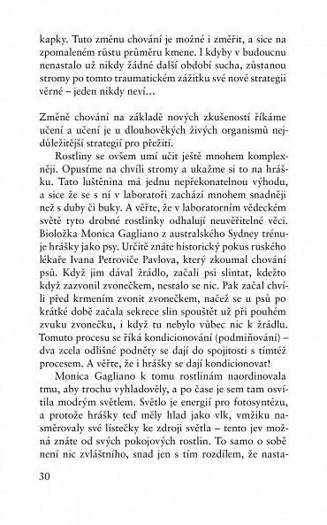 Náhled Než stromům dojde dech - Jak se stromy učí zvládat změnu klimatu a proč nás les zachrání, když mu to dovolíme
