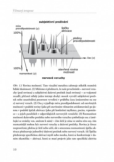 Náhled Všímavý terapeut - Vnitřní nazírání a nervová integrace - příručka pro klinickou praxi