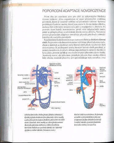 Náhled Naše dítě než se narodí... až se narodí