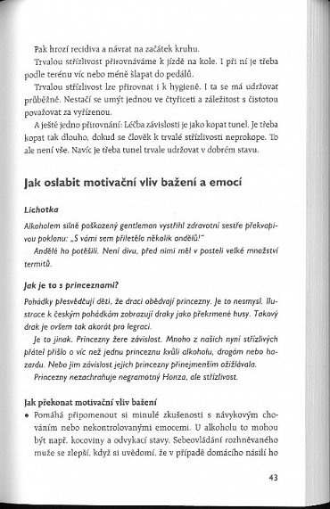 Náhled Sebeovládání - Stres, rizikové emoce a bažení lze zvládat!