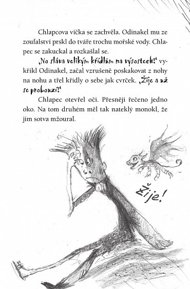 Náhled Jak bojovat s dračím hněvem (Škyťák Šelmovská Štika III.) 12, 1.  vydání