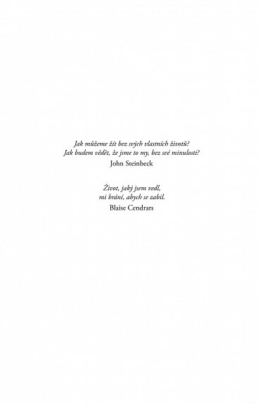 Náhled Žena bez minulosti