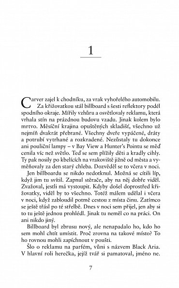 Náhled Noční trh