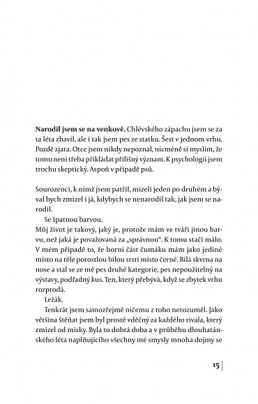 Náhled Hodní psi k jižnímu pólu nedojdou