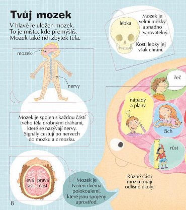 Náhled Podívej se do svého těla - více než 100 odklápěcích okének