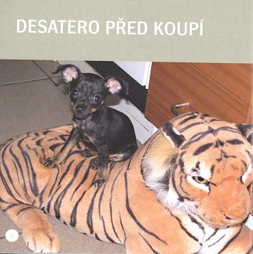 Náhled Od štěněte ke psu - Jak nenásilně vychovat skvělého společníka