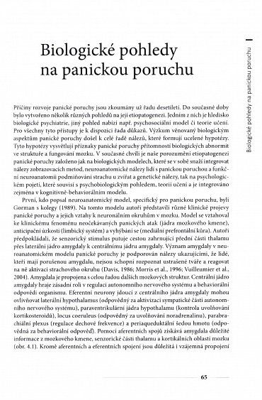 Náhled Panická porucha