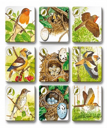 Náhled Pexetrio - Ptáci