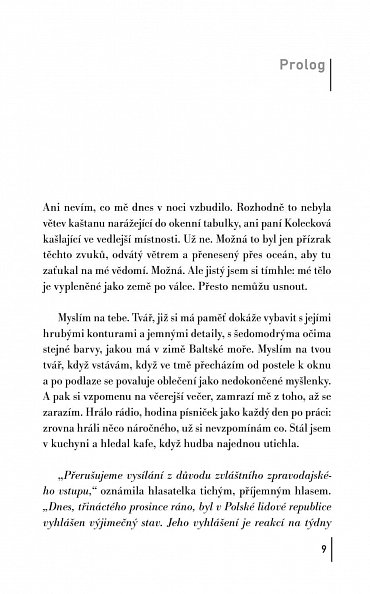 Náhled Plavec ve tmě