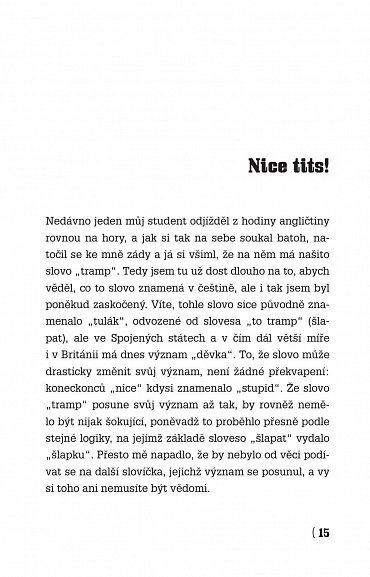 Náhled Angličtina na rovinu II