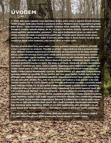 Náhled Tajný život stromů - Co cítí a jak komunikují