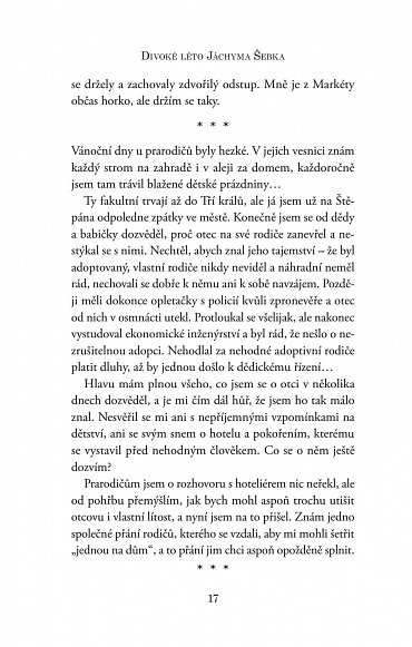 Náhled Divoké léto Jáchyma Šebka