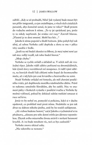 Náhled Stín, 1.  vydání