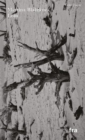 Lom (česky, slovensky)