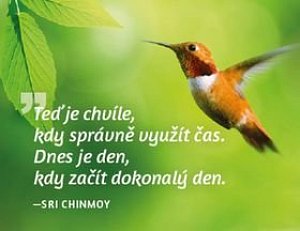 Magnet na lednici - Teď je chvíle, kdy správně využít čas. Dnes je den, kdy začít dokonalý den.