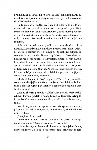 Náhled Půl žlutého slunce, 2.  vydání