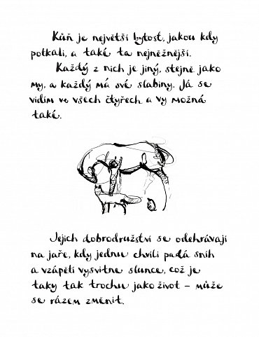 Náhled Chlapec, krtek, liška a kůň