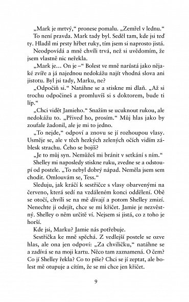 Náhled Dokonalá zrada