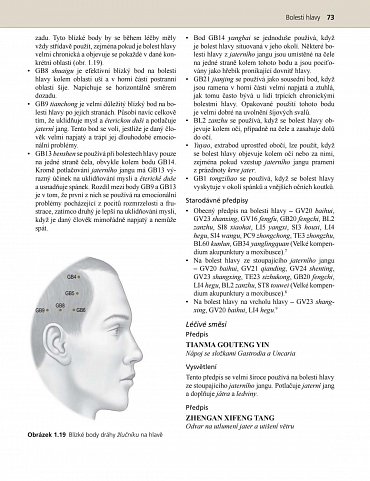 Náhled Praxe čínské medicíny - Léčba onemocnění pomocí akupunktury a čínských léčivých směsí