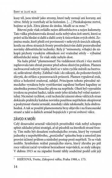 Náhled Smrt ve žluté mlze