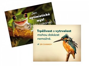 Magnet na lednici 2 ks "Trpělivost + Jen optimistická"