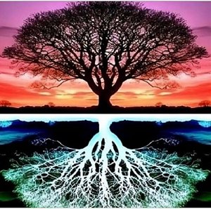 Diamantové malování Strom