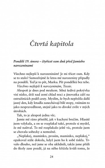 Náhled Dokonalá zrada