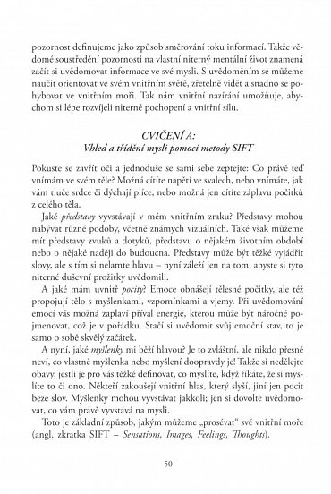 Náhled Rozbouřený mozek dospívání, teenageři a jejich výchova