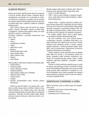 Náhled Praxe čínské medicíny - Léčba onemocnění pomocí akupunktury a čínských léčivých směsí