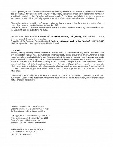 Náhled Praxe čínské medicíny - Léčba onemocnění pomocí akupunktury a čínských léčivých směsí