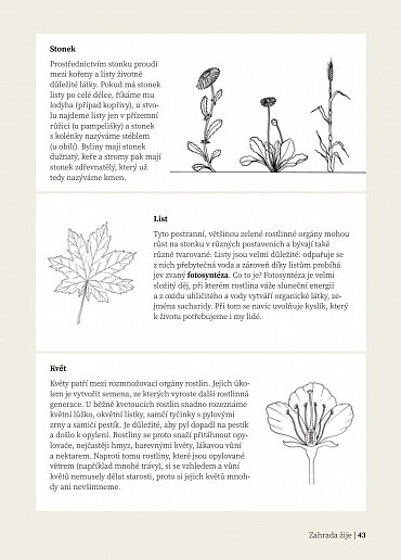Náhled Zahrada žije - Zahradničíme s dětmi, 2.  vydání