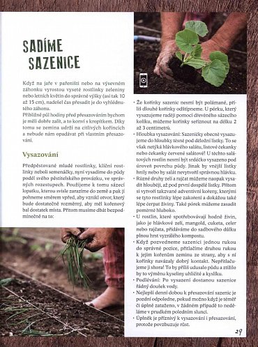 Náhled Zahradníkův rok - Setí, pěstování, sklizeň