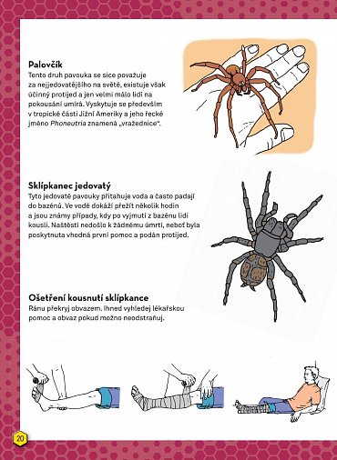 Náhled Příručka pro začínající dobrodruhy 2: Nebezpečná zvířata, nebezpečné rostliny, stopování, signalizace