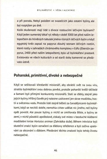 Náhled Bylinářství - Věda i alchymie