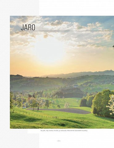 Náhled Vše jenom ne tradiční - Neobjevená Evropa