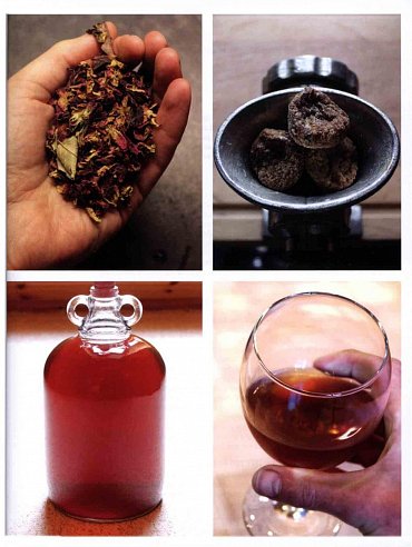 Náhled Děláme si sami pivo, víno, medovinu, cider, šumivé nápoje a další unikátní speciality