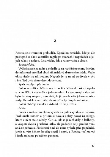 Náhled Ztracené střípky