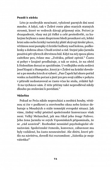 Náhled Do posledních sil - Tři dokumentární povídky z konce protektorátu