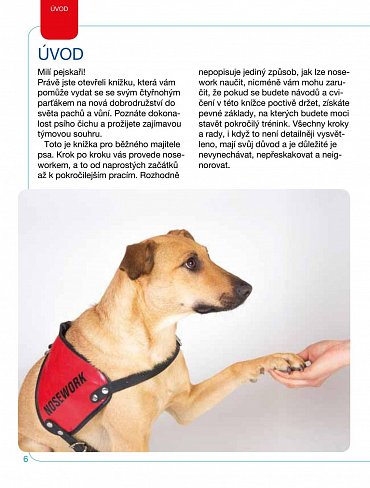Náhled Nosework - Práce i zábava nejen pro psí nos