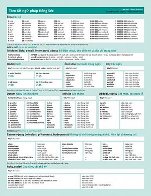 Česká gramatika v kostce - vietnamská verze, 1.  vydání