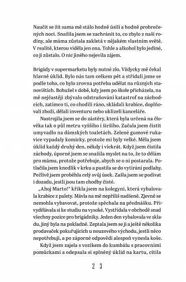 Náhled Střípky času