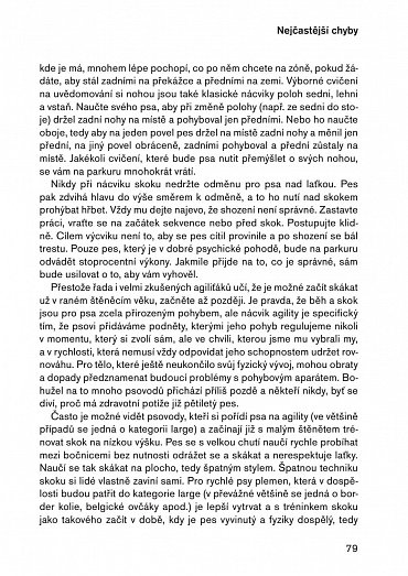 Náhled Agility pro pokročilé