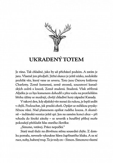 Náhled Ukradený totem