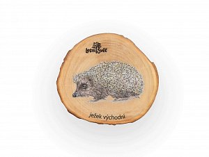 Magnet letokruh - Ježek