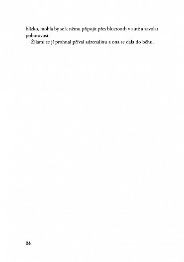 Náhled Ztracené střípky