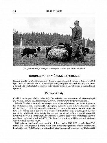 Náhled Border kolie od A do Z