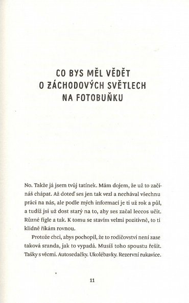 Náhled Co by můj syn měl vědět o světě